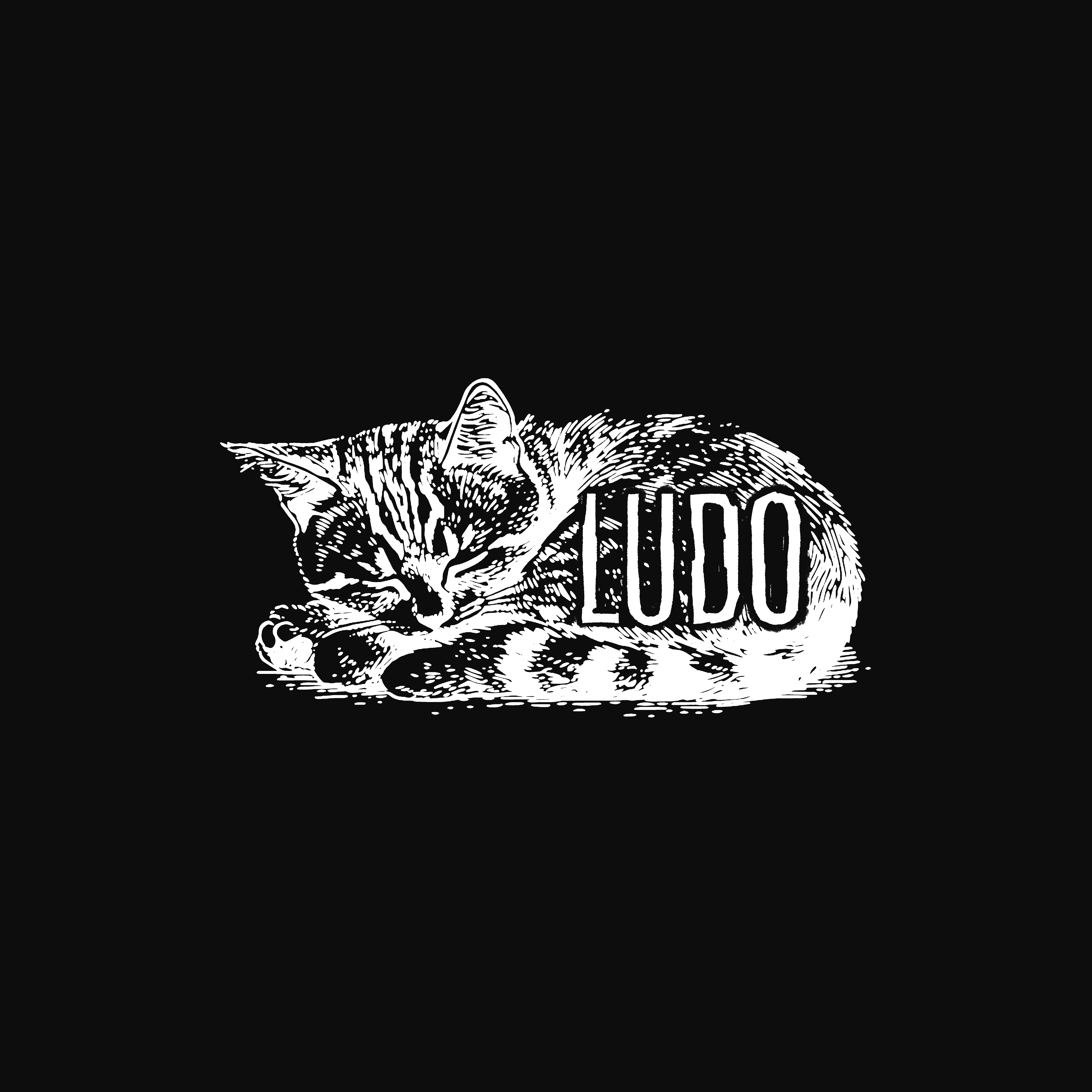 gatto ludo.png