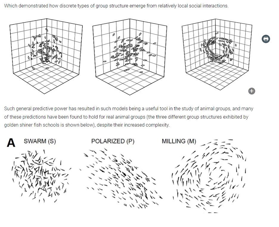 interpassive_382922190_853217866191774_5264173228392833923_n.jpg