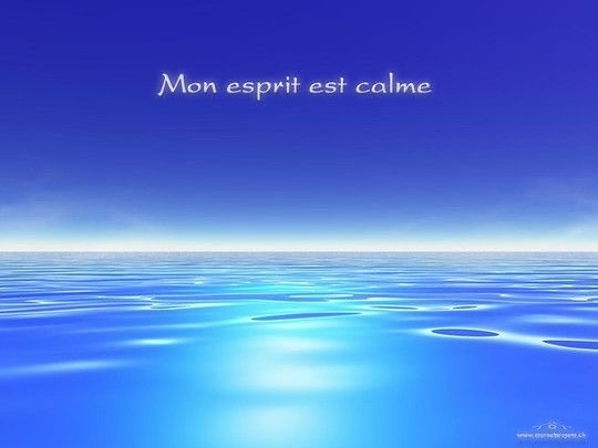 interpassive_403920292_1513131769525594_959931261917885438_n.jpg