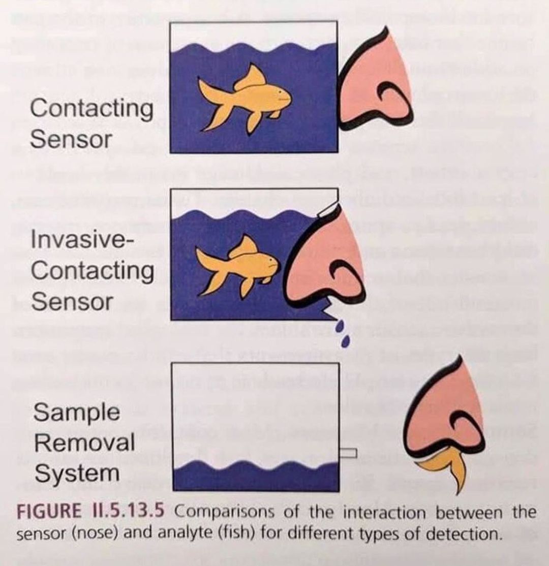 interpassive_404267463_702390025185678_4024655626688299955_n.jpg
