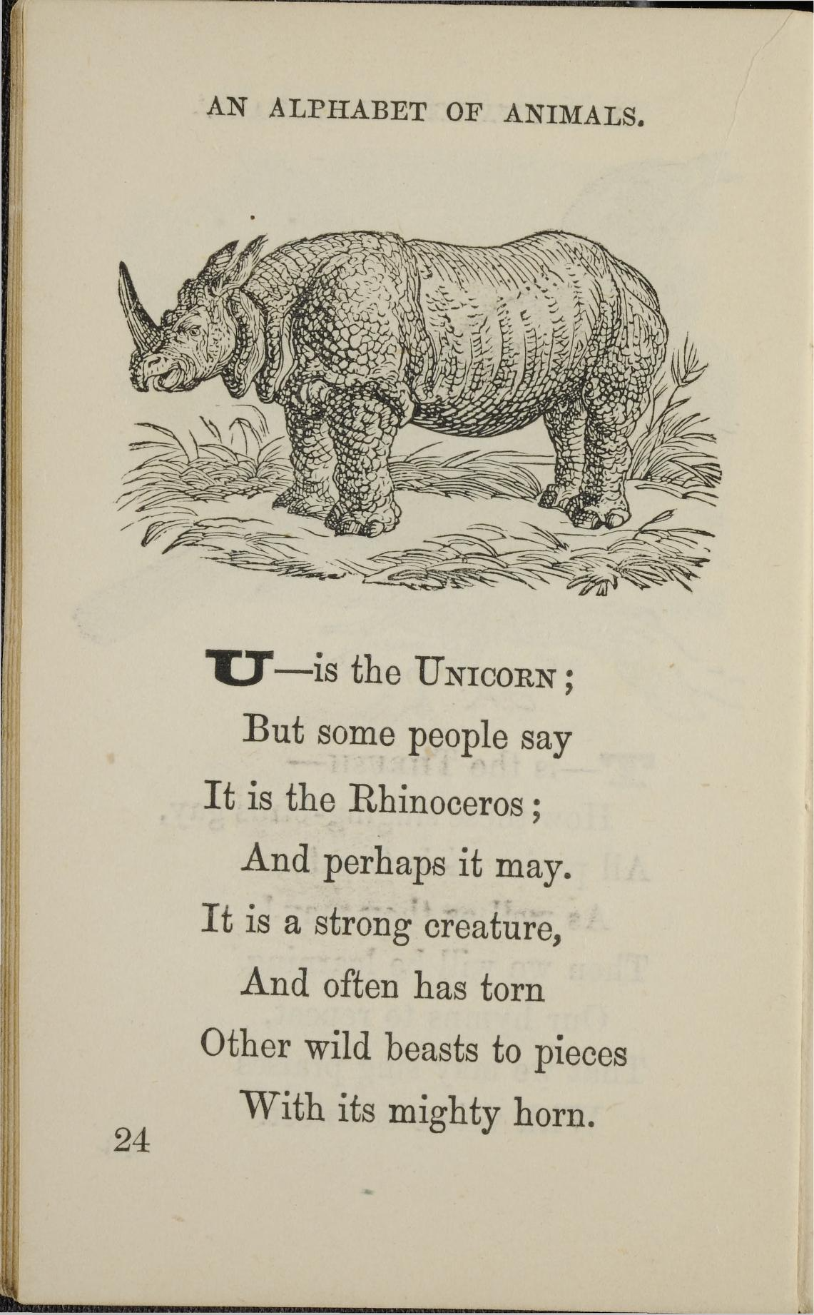 unicorn.png